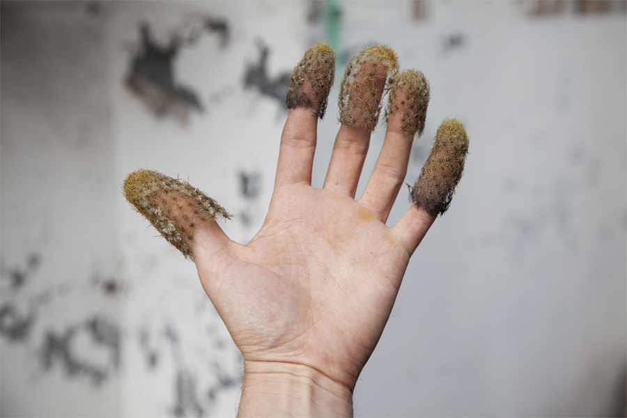 mano-dedos-cactus